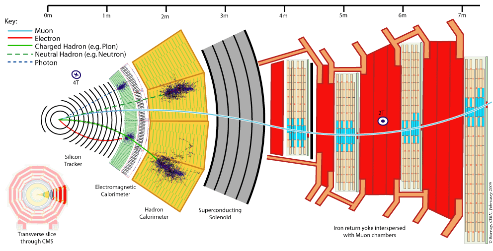 A cross-sectional slice through the CMS Detector