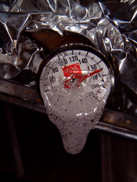melted turkey thermometer